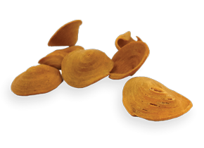 Alternative view of 3.0kg Butterfly Biscuits